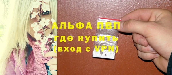 индика Алексин