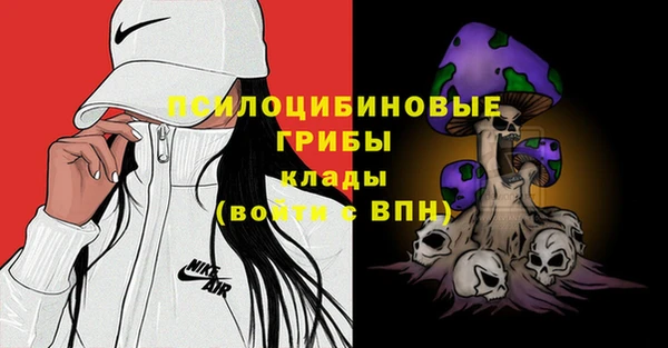 амф Алексеевка