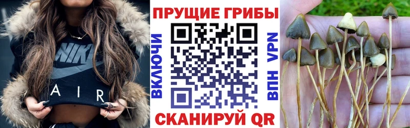 Галлюциногенные грибы мухоморы  МЕГА маркетплейс  Томари 